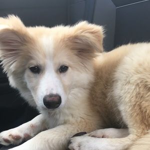 Meet your Posher, Brielle